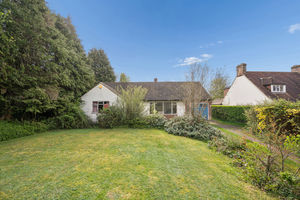 Photo 12- click for photo gallery